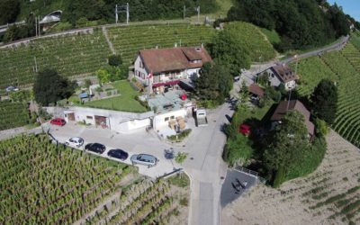 Gaillard & Fils (21)
