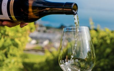 Vignes & Domaine Sother (24)
