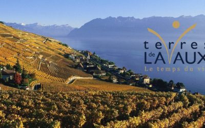 Terres de Lavaux (26)