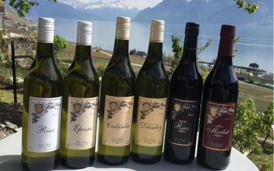 Domaine Denis Fauquex (6)