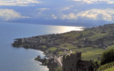 Domaine de la Tour de Marsens (4)