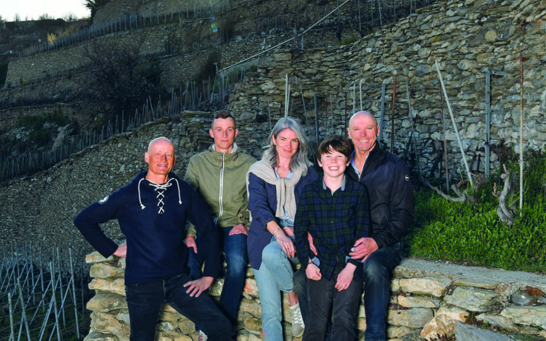 Domaine Cornulus (4)