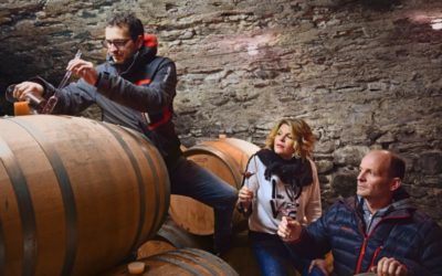Cantina Settemaggio (17)