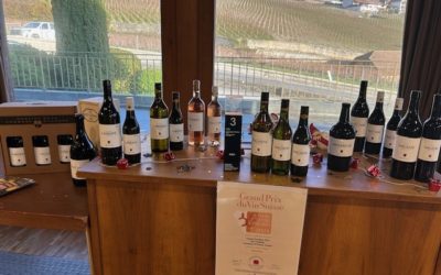 Domaine de la Commune Yvorne (4)