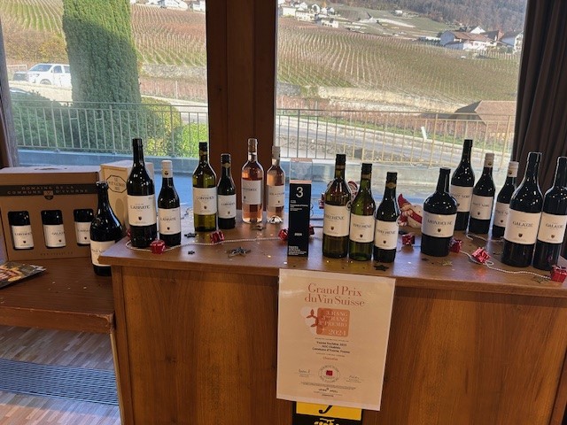 Domaine de la Commune Yvorne (4)